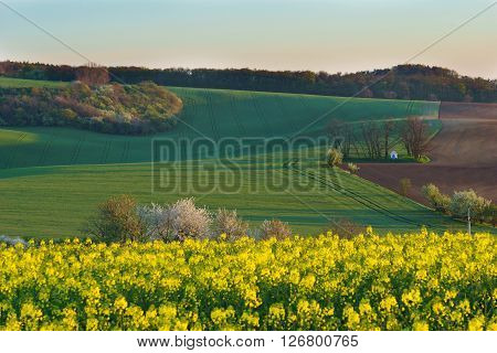 Moravian Tuscany is called a corrugated landscape near Kyjov Moravia Czech Republic