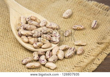 The Saluggia beans