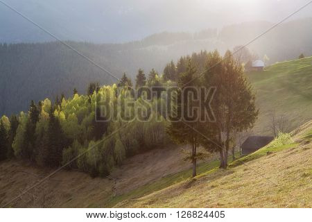 Sunrise spring landscape in the carpathian mountains