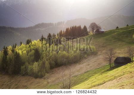 Sunrise spring landscape in the carpathian mountains