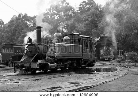 Glory Steam