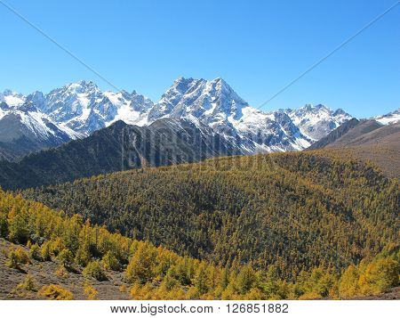 Baimang Snow Mountain Nature Reserve Diqing Yunnan China