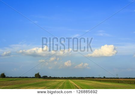 View over fields and meadows after harvesting grassland and corn field blue sky with some white clouds trees and bushes on the horizon
