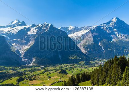 Panorama view of Schreckhorn Fiescherwand Eiger in summer from Grindelwald First on Bernese Oberland Switzerland