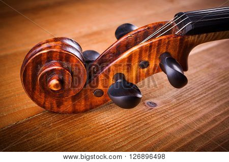 Close View Of Violin Scroll And Pegbox