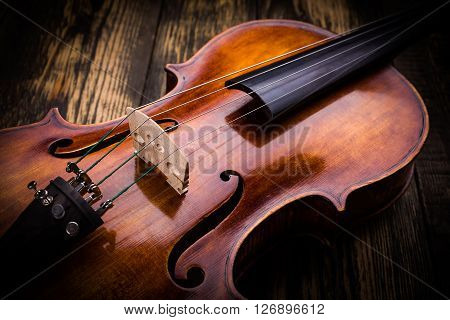 Violin Strings And Bridge