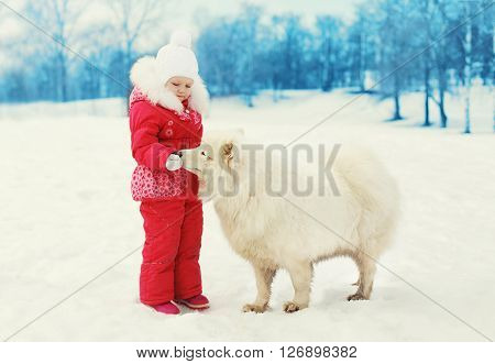 ?hild Feeding White Samoyed Dog In Winter Day