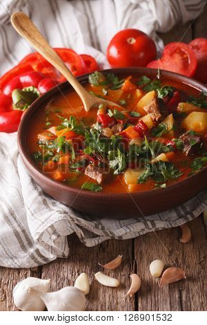 Homemade Hungarian Goulash Soup Bogracs Close-up. Vertical