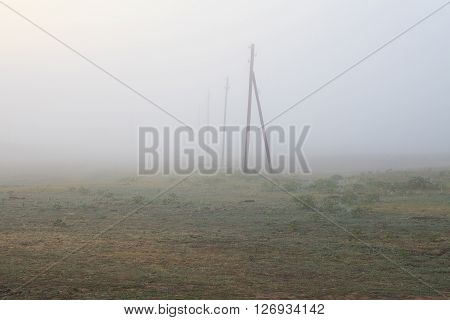 Misty dawn early morning nature grassland landscape view in russian countryside. Mysterious Volga river rural pasture and telegraph poles in fog.