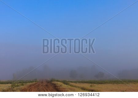 Misty dawn early morning nature grassland landscape view in russian countryside. Mysterious Volga river rural road in fog with vivid colors.