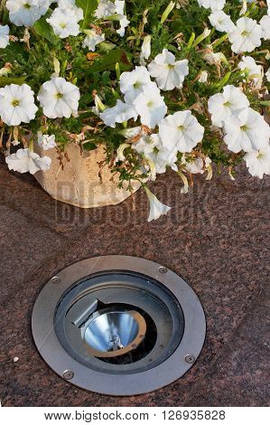 The built-in light in the granite sidewalk next to flower bed