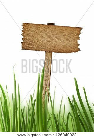 Wooden sign for your text with grass isolated on white