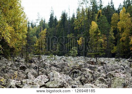 Stone river Qurum is a big boulder field one of the most amazing natural phenomena mountains of the Urals.