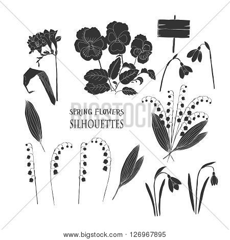 Background with  lily of the valley, galanthus and pansy. Hand drawn snowdrops flowers sketches. Vector Illustration