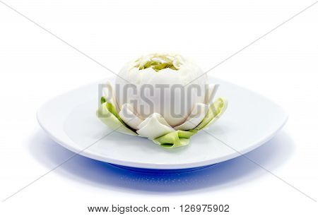 white water lily flower on white background