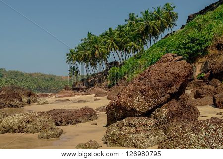 Rocks on hidden beach with palms near Agonda beach Goa state India