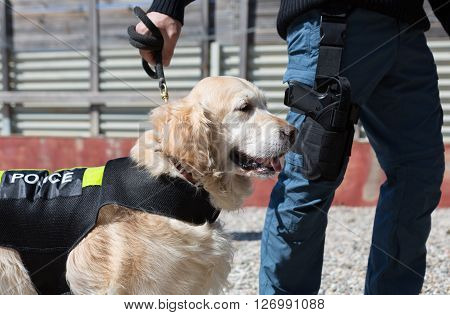 Dog and police officer with his gun and badge