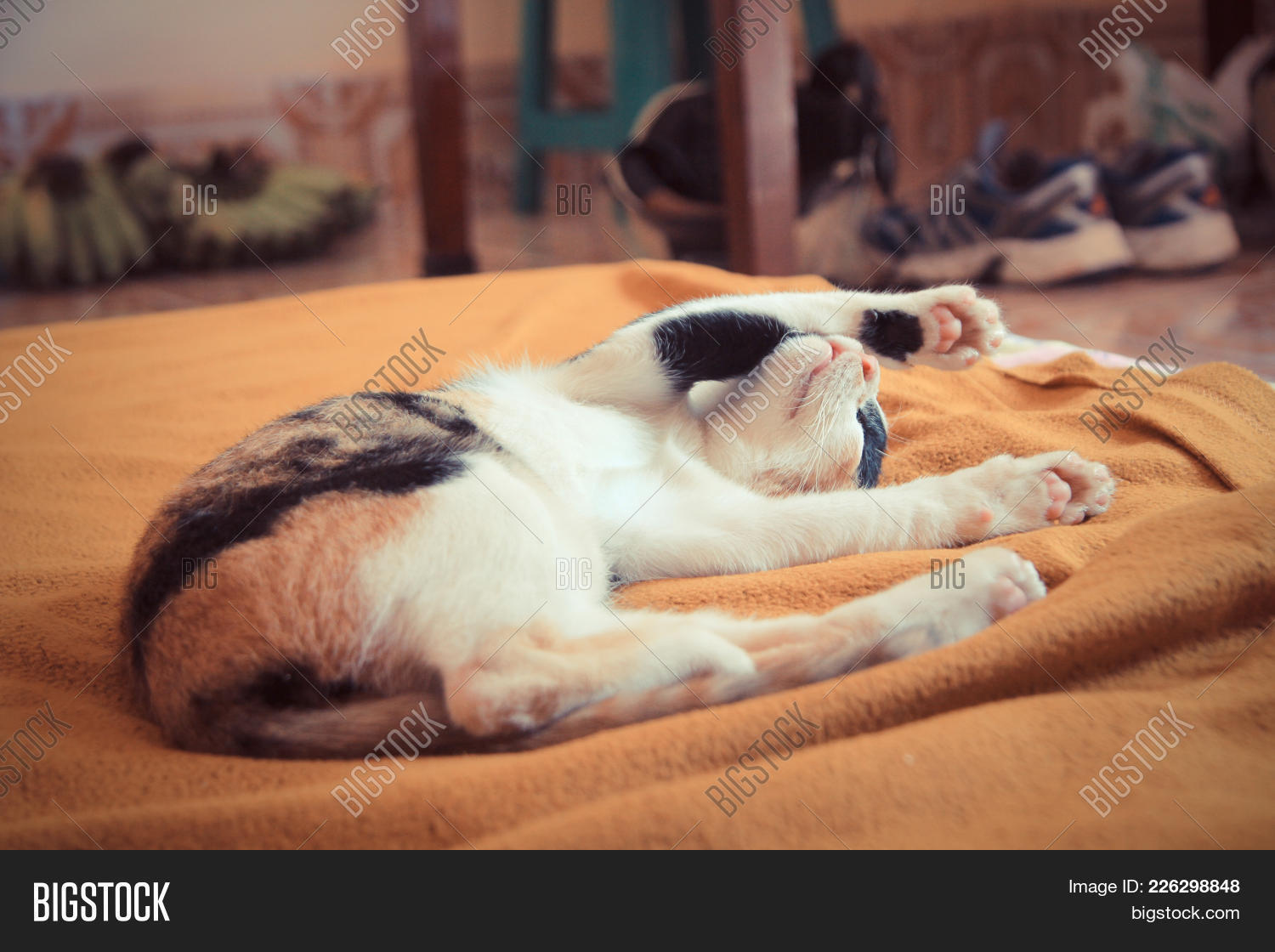 Cat Sleep On Browm Bed Image & Photo (Free Trial) Bigstock