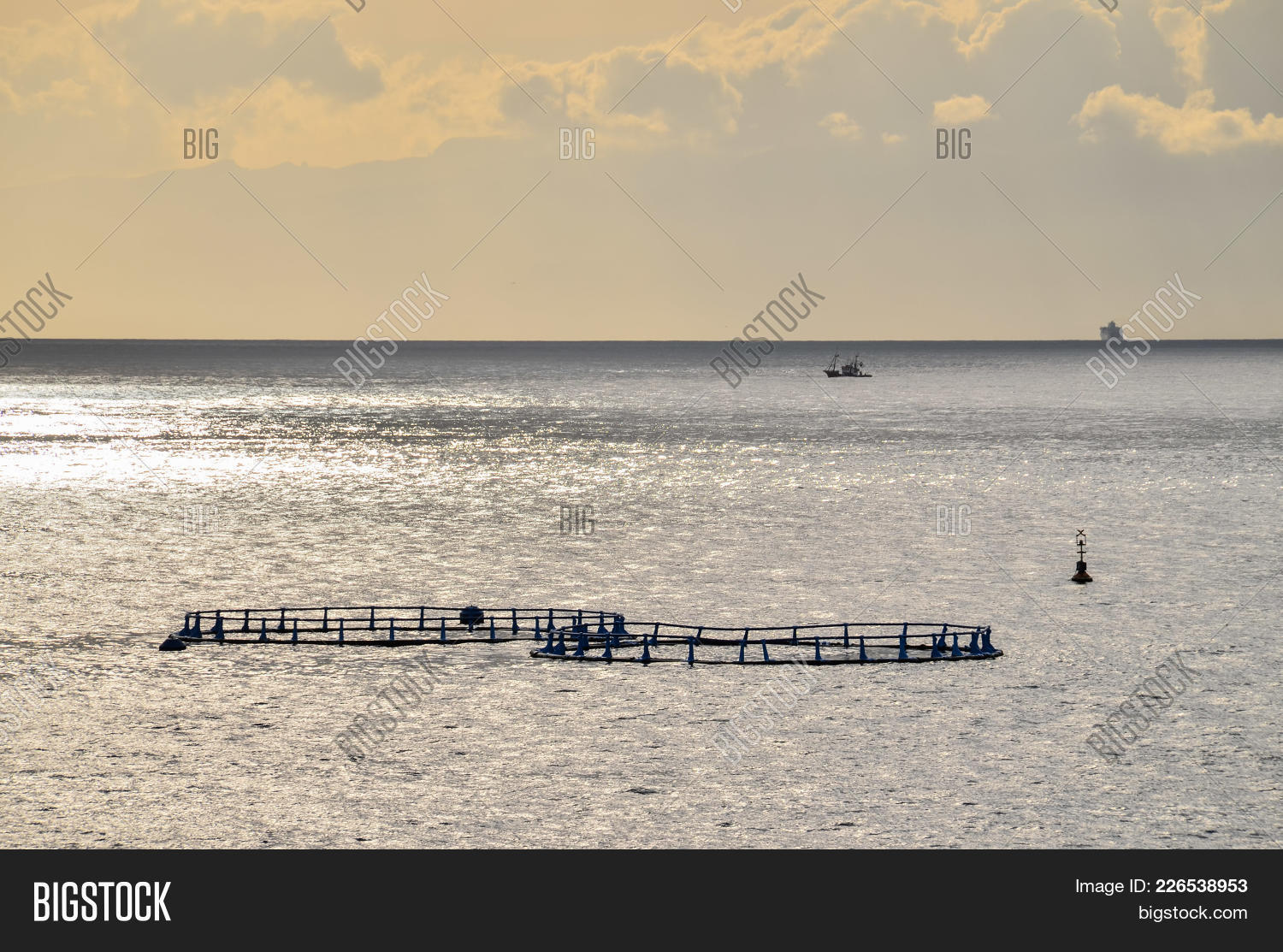 fish farm powerpoint template fish farm powerpoint background