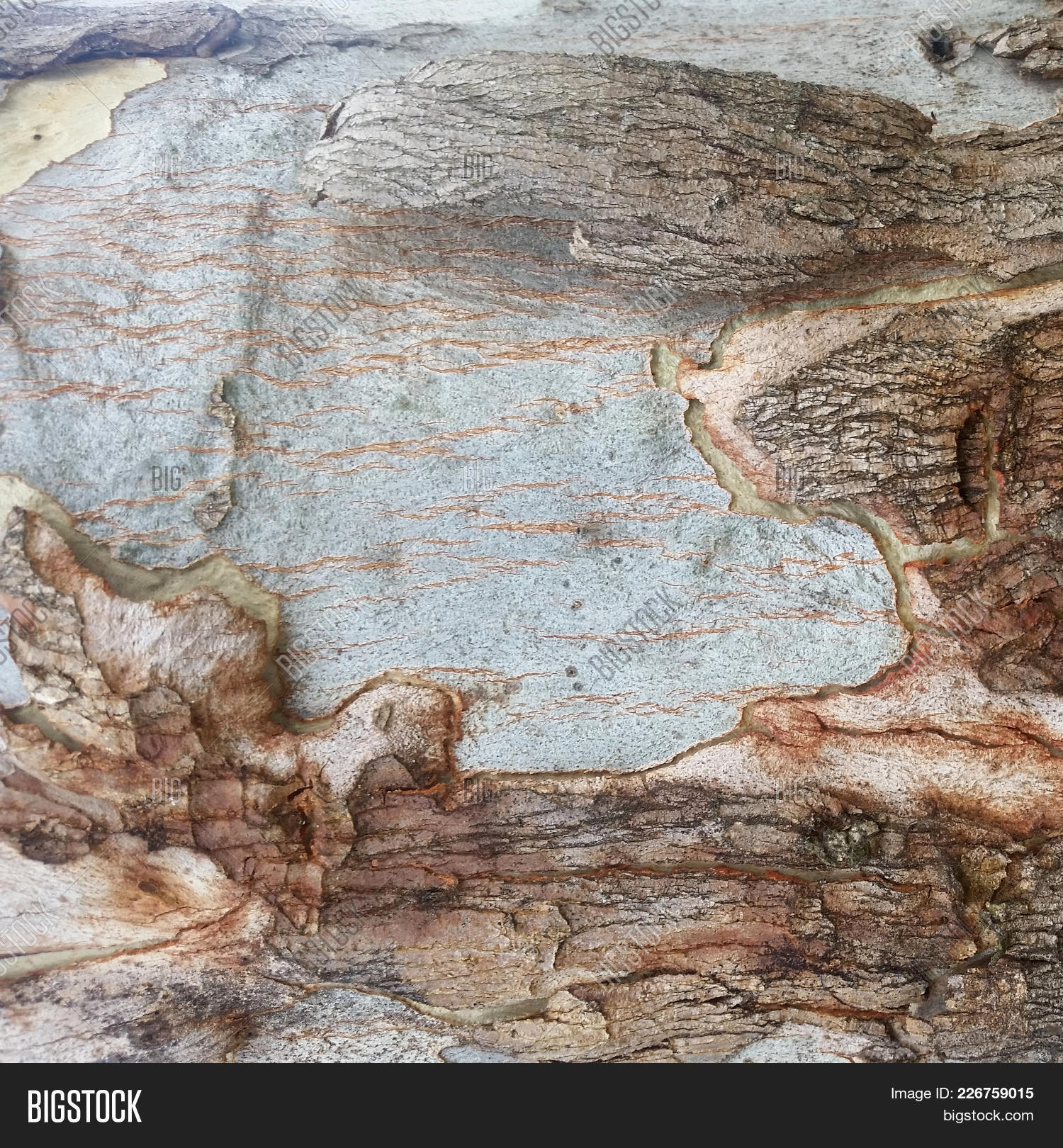 organic background textures