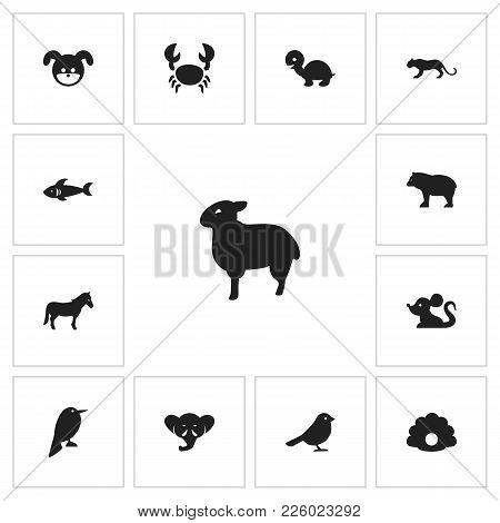 Set Of 13 Editable Zoology Icons. Includes Symbols Such As Dog, Bear, Nightingale And More. Can Be U
