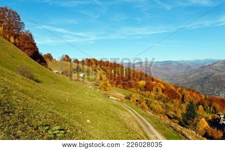 Autumn Carpathian Mountains Landscape With Multicolored Yellow-orange-red-brown Trees On Slope And  