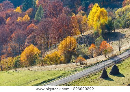 Dirty Secondary Road To Mountain Pass In Autumn Carpathian Mountains And Multicolored Yellow-orange-