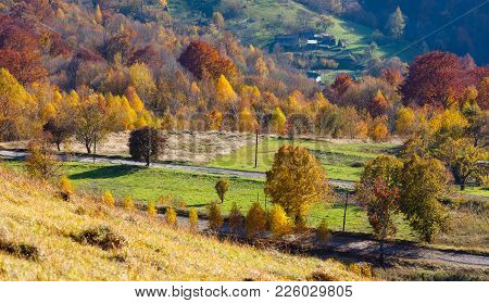 Dirty Secondary Road To Mountain Pass In Autumn Carpathian Mountains And Multicolored Yellow-orange-