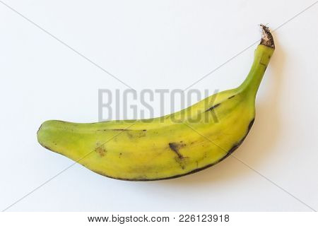 Side View Of Half Ripe Burro Banana, Also Orinoco, Bluggoe, Horse, Hog Or Largo Banana, Isolated On 