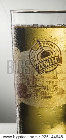 Kwidzyn, Poland - December 10, 2017: Glass Of Zywiec Beer Isolated On Gradient Background.  Zywiec B