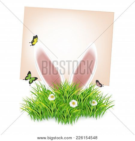 White Easter Rabbit Ears Sticking Out Of The Grass. Spring Landscape With Blue Sky, Green Grass, Whi