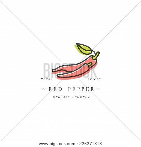 Download Packaging Design Vector Photo Free Trial Bigstock