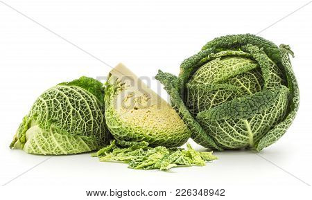Savoy Cabbage Head And Two Quarters With Chopped Leaves Stack Isolated On White Background Fresh Gre