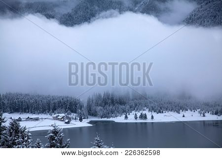 Frozen lake and pine trees in snow at Colibita. Romania early morning winter secen.
