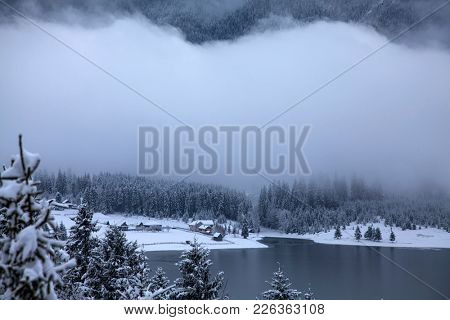 Frozen lake and pine trees in snow at Colibita. Romania early morning winter secen.