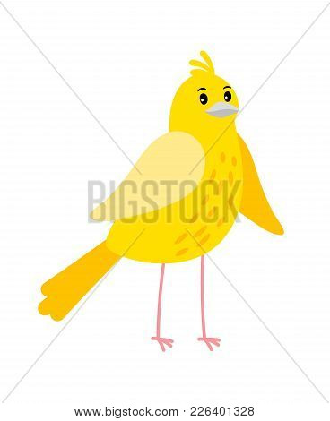 Cute Cartoon Canary Bird Icon An White Background, Vector Illustration