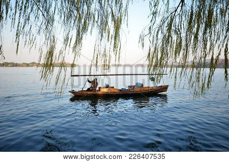 Hangzhou, China-jan 14, 2018: Chinese Park In Hangzhou Near Xihu Lake China. Beautiful Trees Of Will