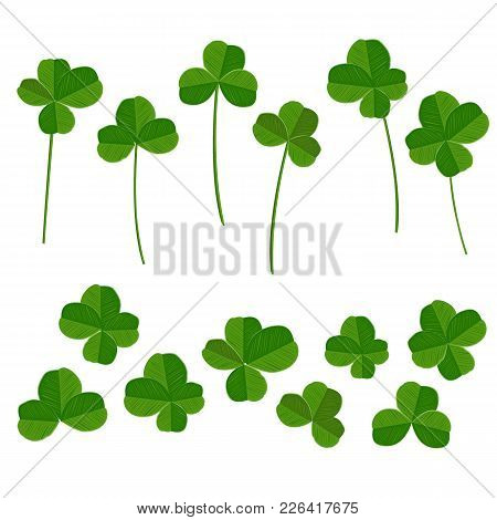 Clover Leaves Collection, Quarterfoil And Trefoil, With Stems And Without One. Vector Illustration S