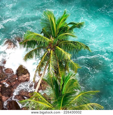 Beautiful Ocean In Sri Lanka. View From Top Of Lighthouse Dondra. Palms And Ocean From High Viewpoin