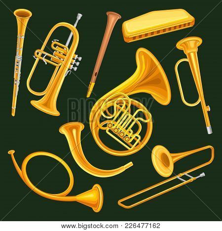 Collection Of Woodwind And Brass Musical Instruments. Clarinet, Trumpet, Harmonica, Wooden Pipe Sopi