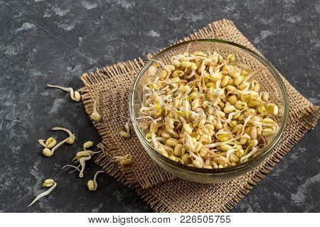 Fresh Mung Bean Sprouts In Glass Bowl On Gray Background With Sackcloth Napkin. Vegetarian Food. Hig