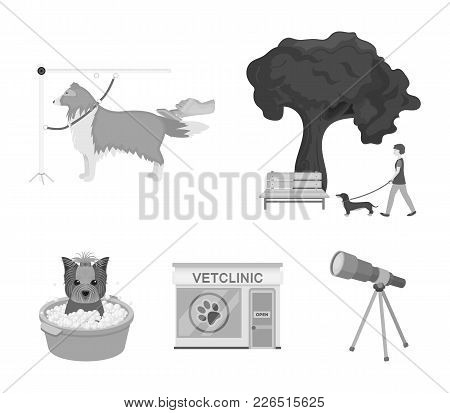Walking With A Dog In The Park, Combing A Dog, A Veterinarian's Office, Bathing A Pet. Vet Clinic An