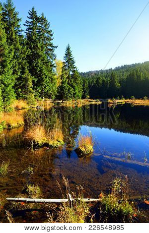 Moraine Lake Kleiner Arbersee In National Park Bavarian Forest. Autumn Landscape In Germany.