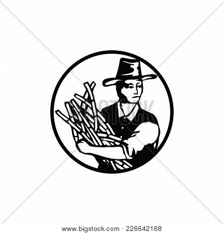 Sugar Cane. The Farmer Brought The Harvest Of Sugar Cane. Plantation. Black And White Images.