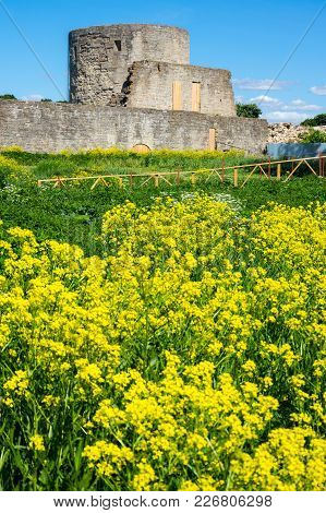Ruins Of Koporye Fortress In Leningrad Region Near Saint-petersburg, Russia