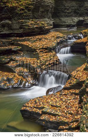 Cascading Through Autumn