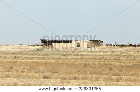 House In The Wilderness. Kazakhstan . In The Park In Nature