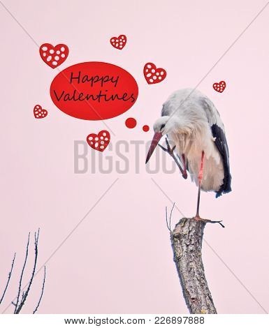 Poster With A Picture Of A Stork Raising One Leg In A Position To Say Hello, And An Illustration Wit