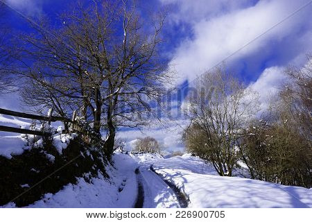 Snowy Landscape Belonging To The North Of Spain.