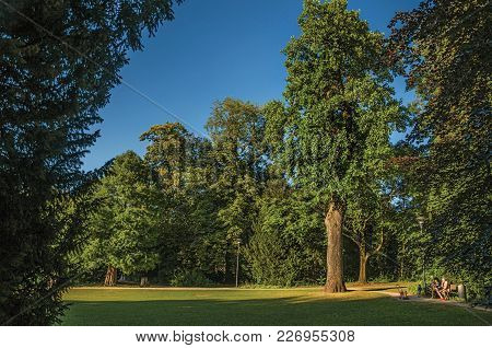 Tielt, Western Belgium - July 02, 2017. Leafy Trees And Family Having Leisure Time In A Park At Suns